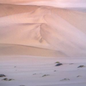 Meet your Posher, Callie